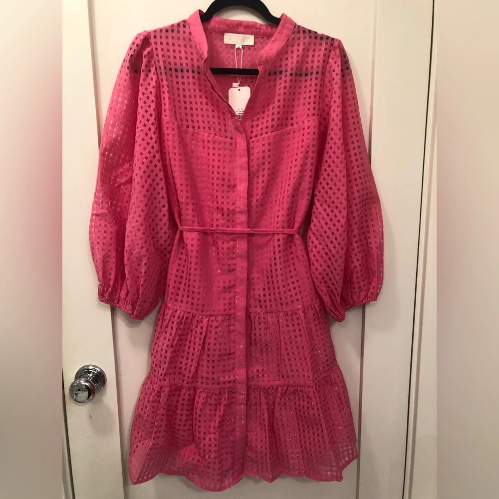 Gingham & Heels Magenta dress - Picture 6 of 10